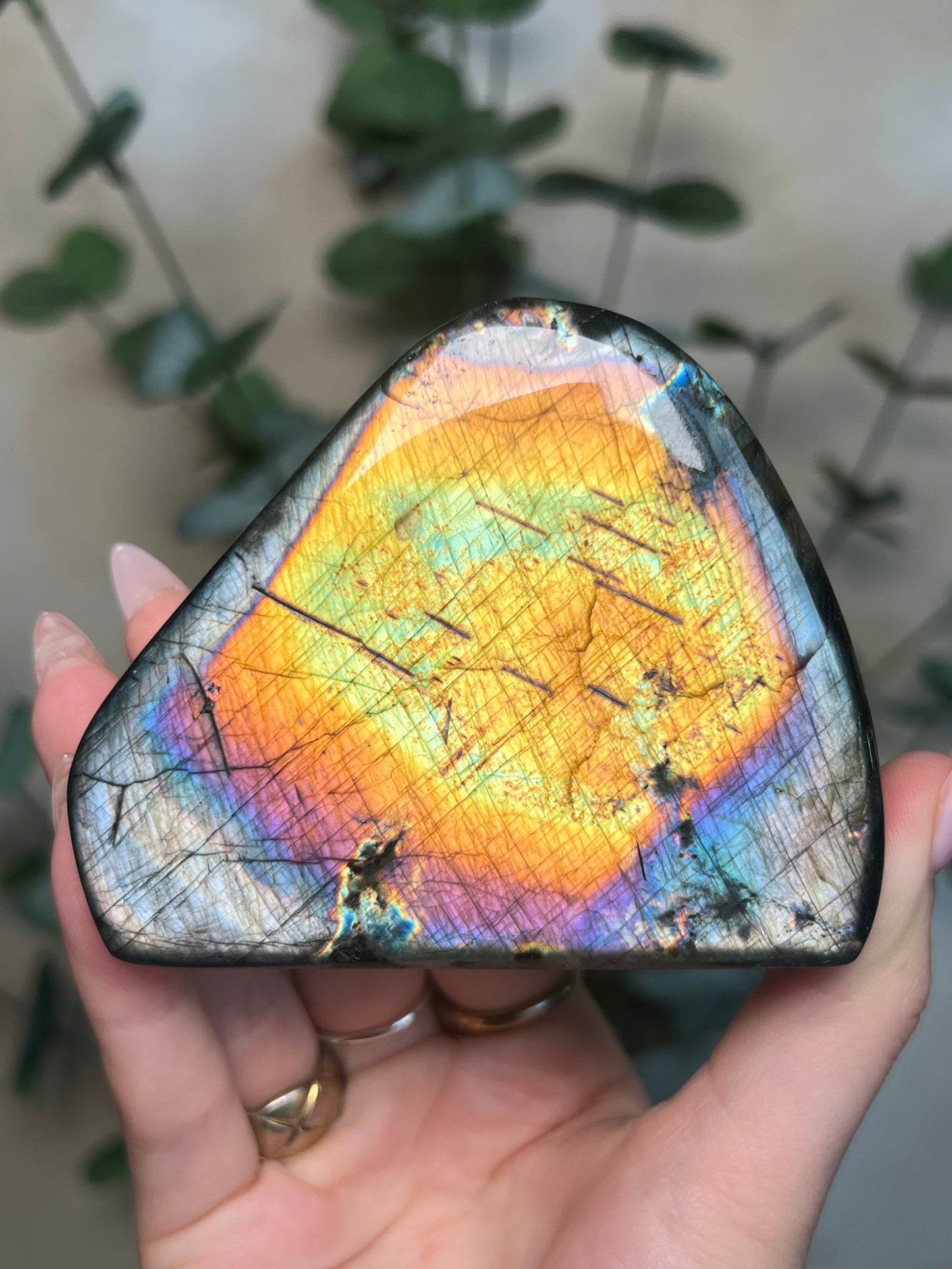 Labradorite Freeform HQ (145KB)