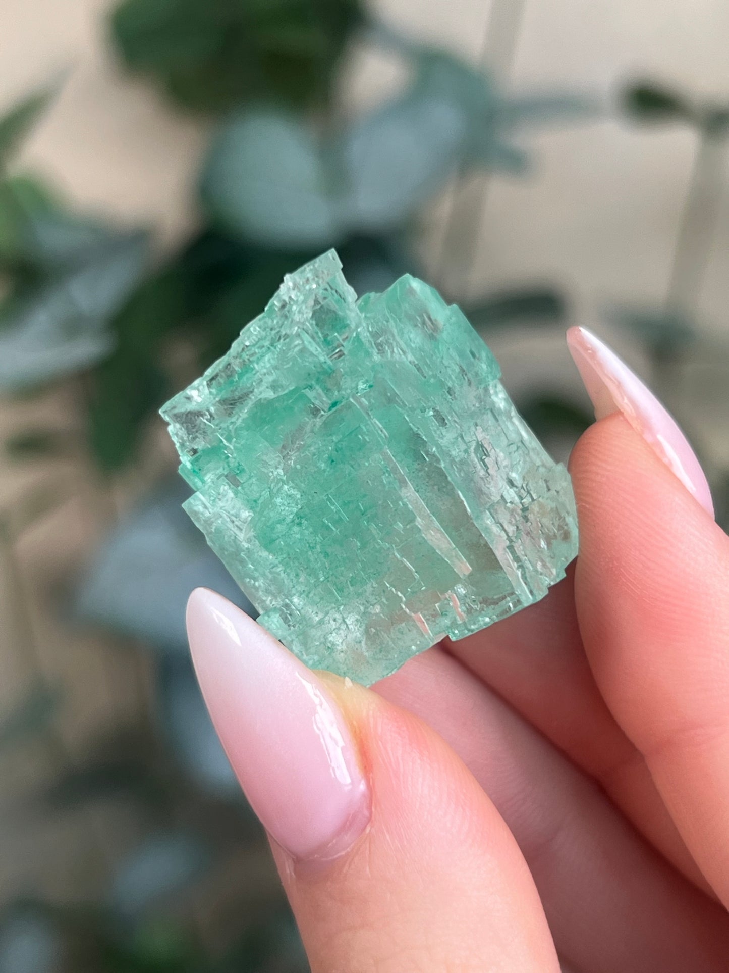 Green Halite with Display Block (65KJ)