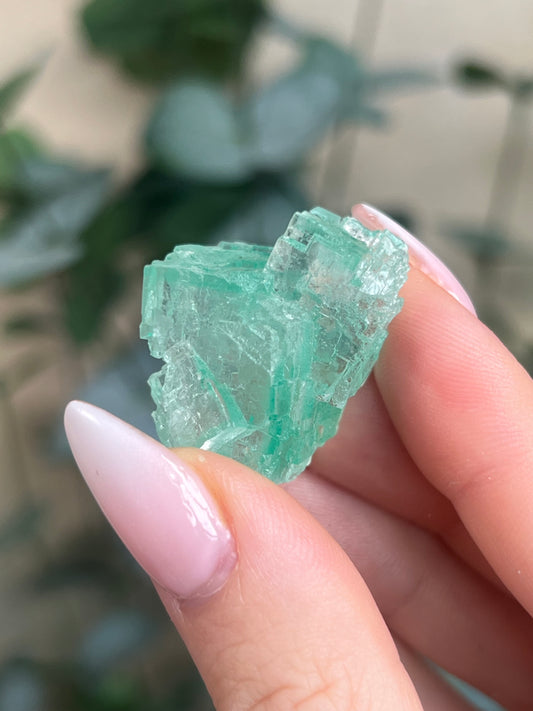 Green Halite with Display Block (60KP)