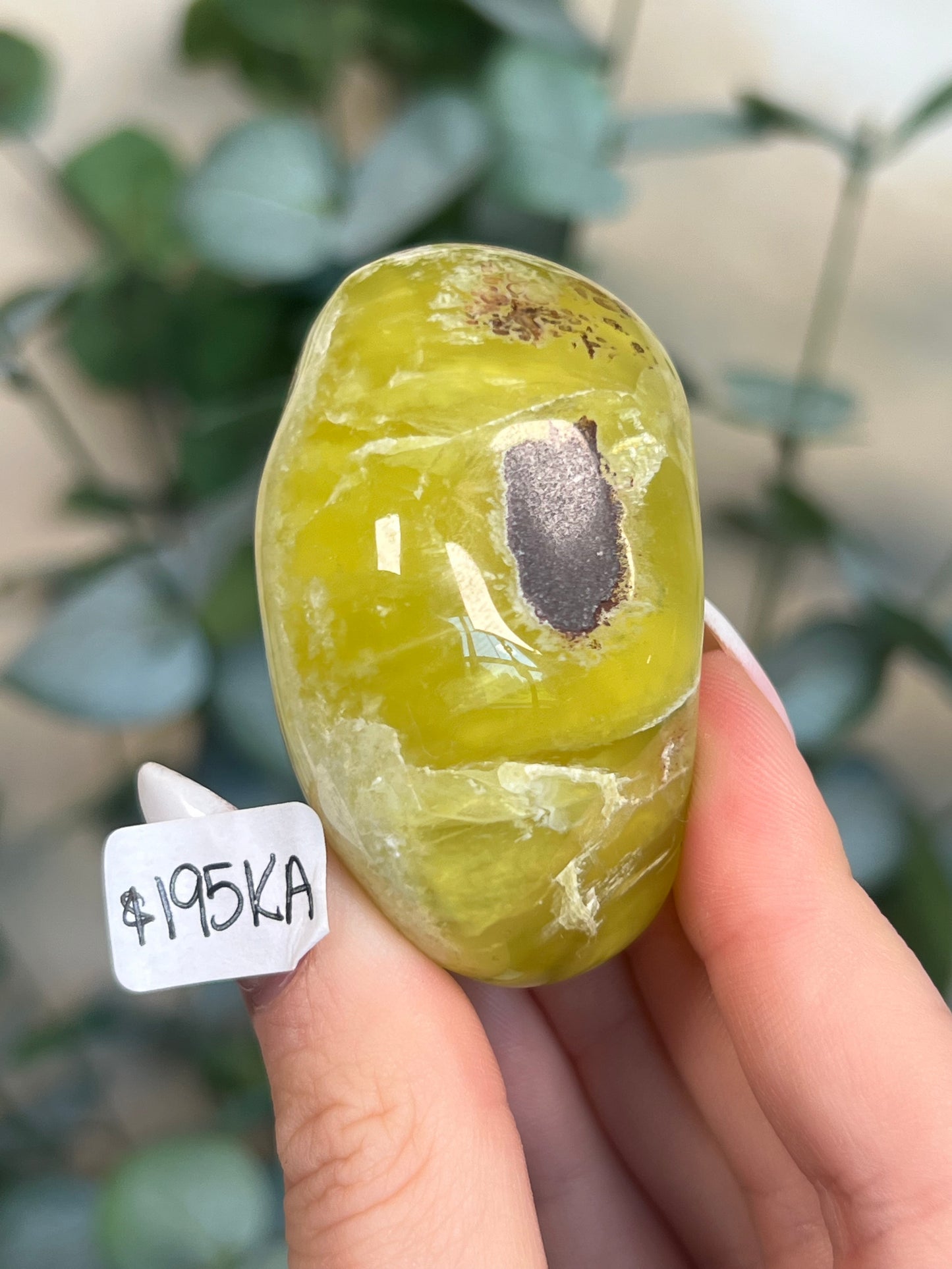 Australian Prehnite Polished (96KD, 195KA)