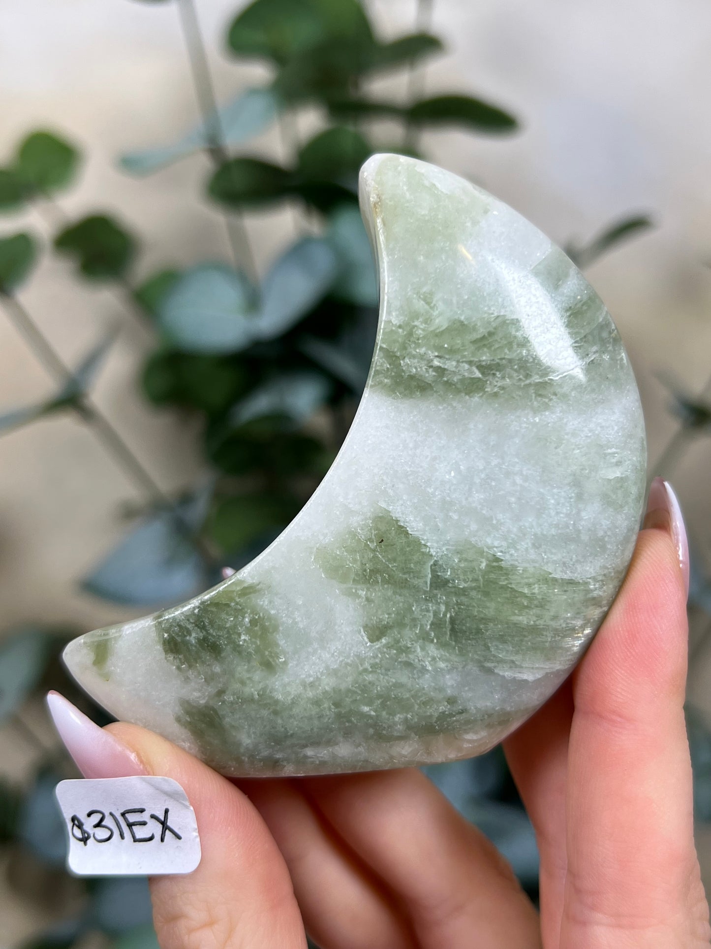 Green Kyanite in Quartz Standing Moons (31EX, 32FI)