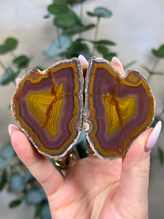 Condor Agate Pair (192EA)