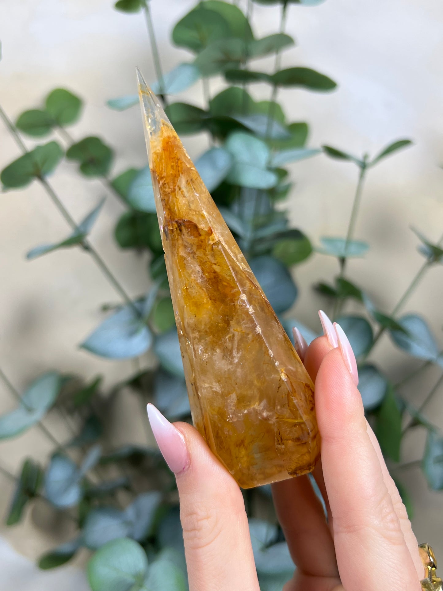 Golden Healer Point (40FF)