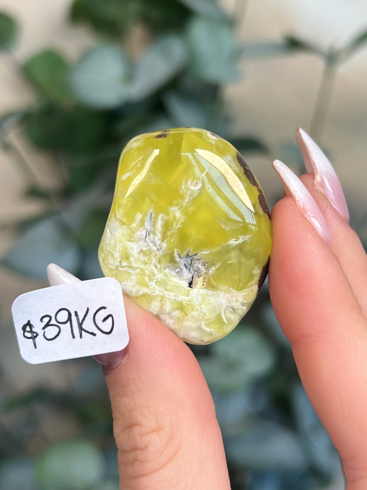 Australian Prehnite Polished (35-39, 5 options)