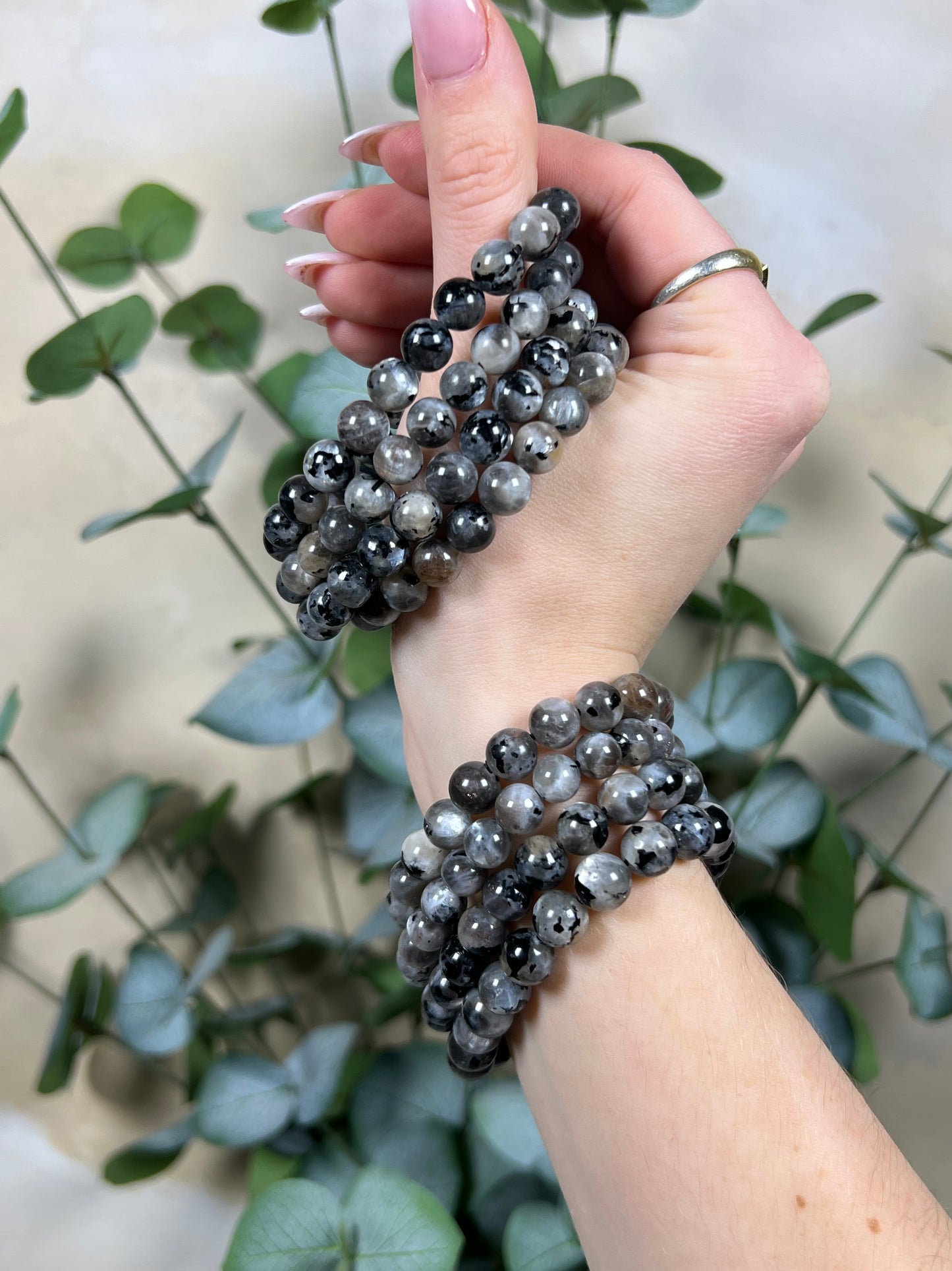 Dalmatian Moonstone Bracelets