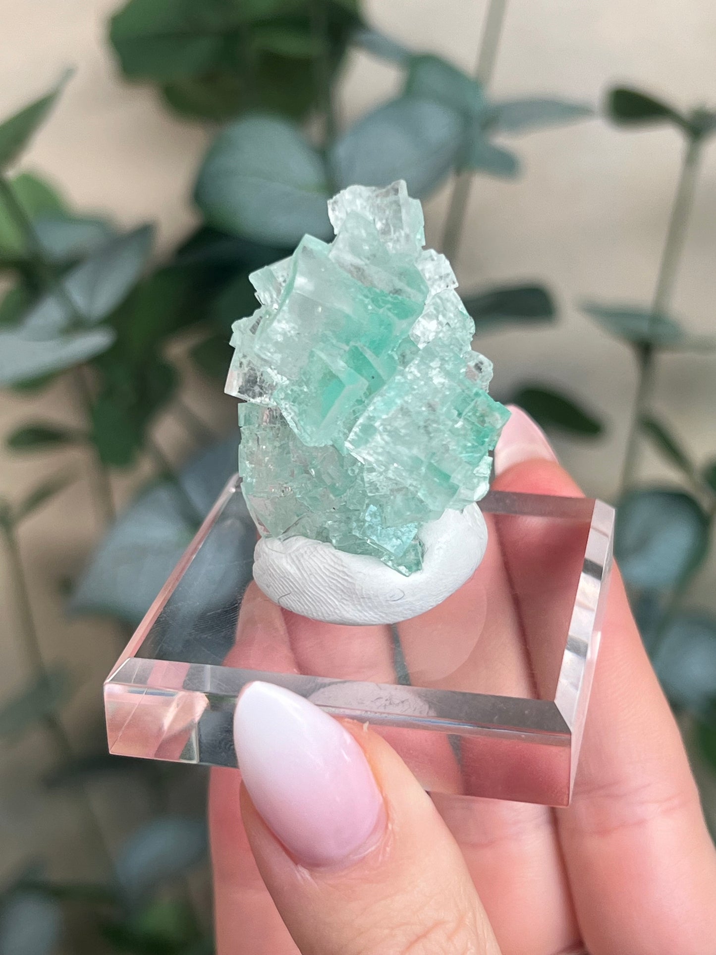 Green Halite with Display Block (65KI)