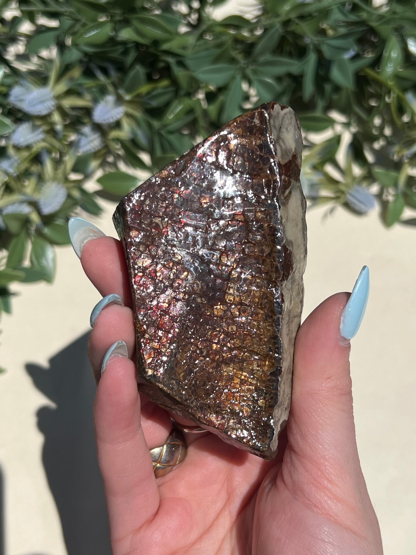 Ammolite (40AH)