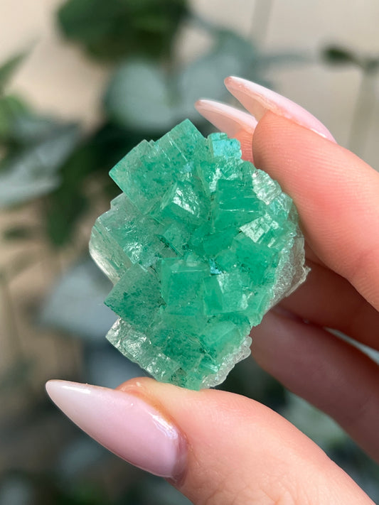 Green Halite with Display Block (55KY)