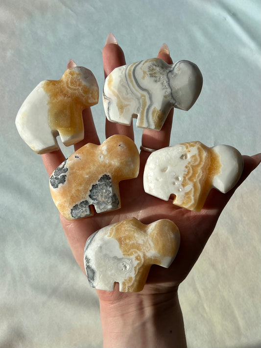 Calcite Buffalos (19GG, 19GK-19GN)