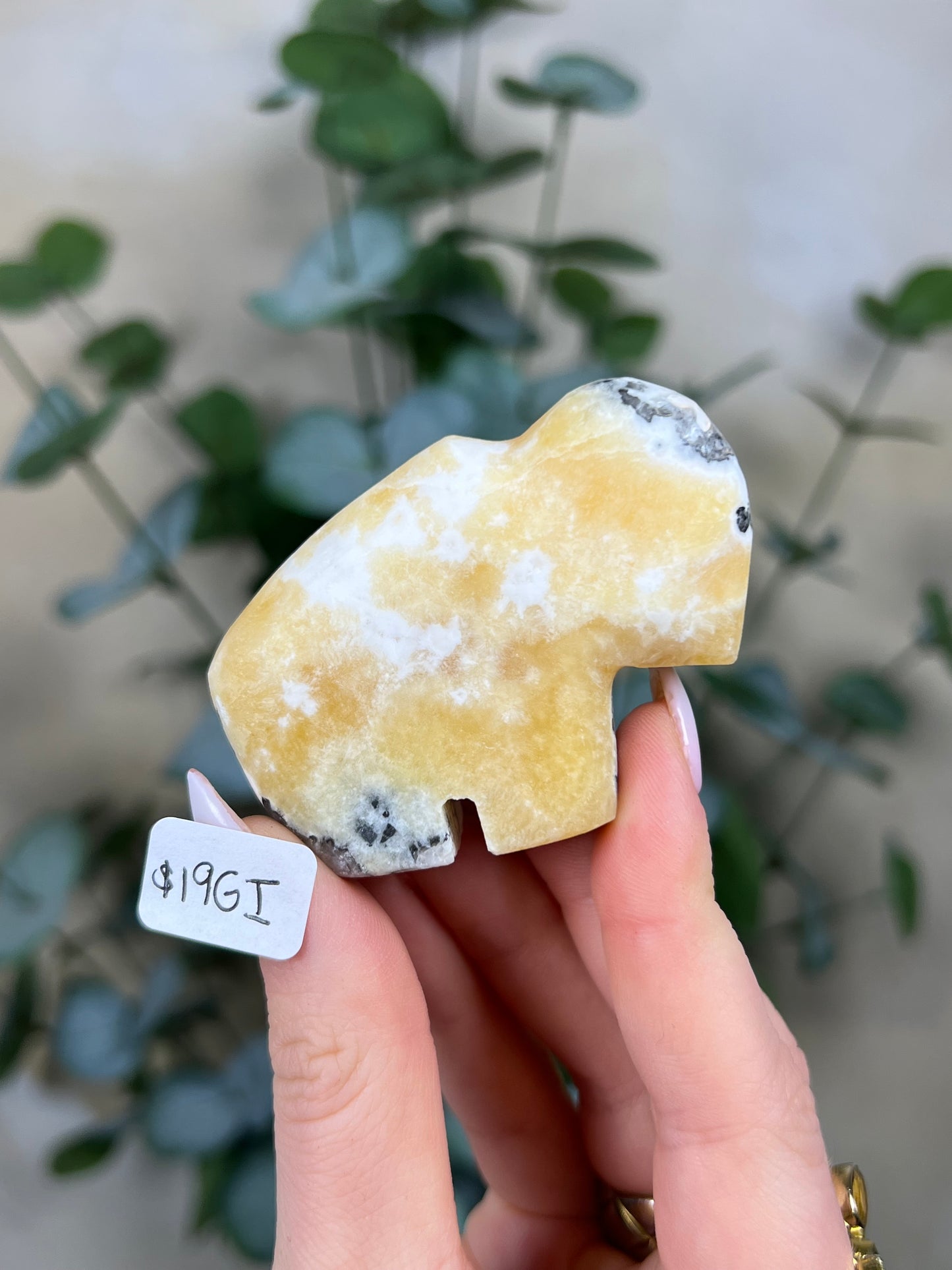 Calcite Buffalos (19GE, 19GF, 19GH-19GJ)