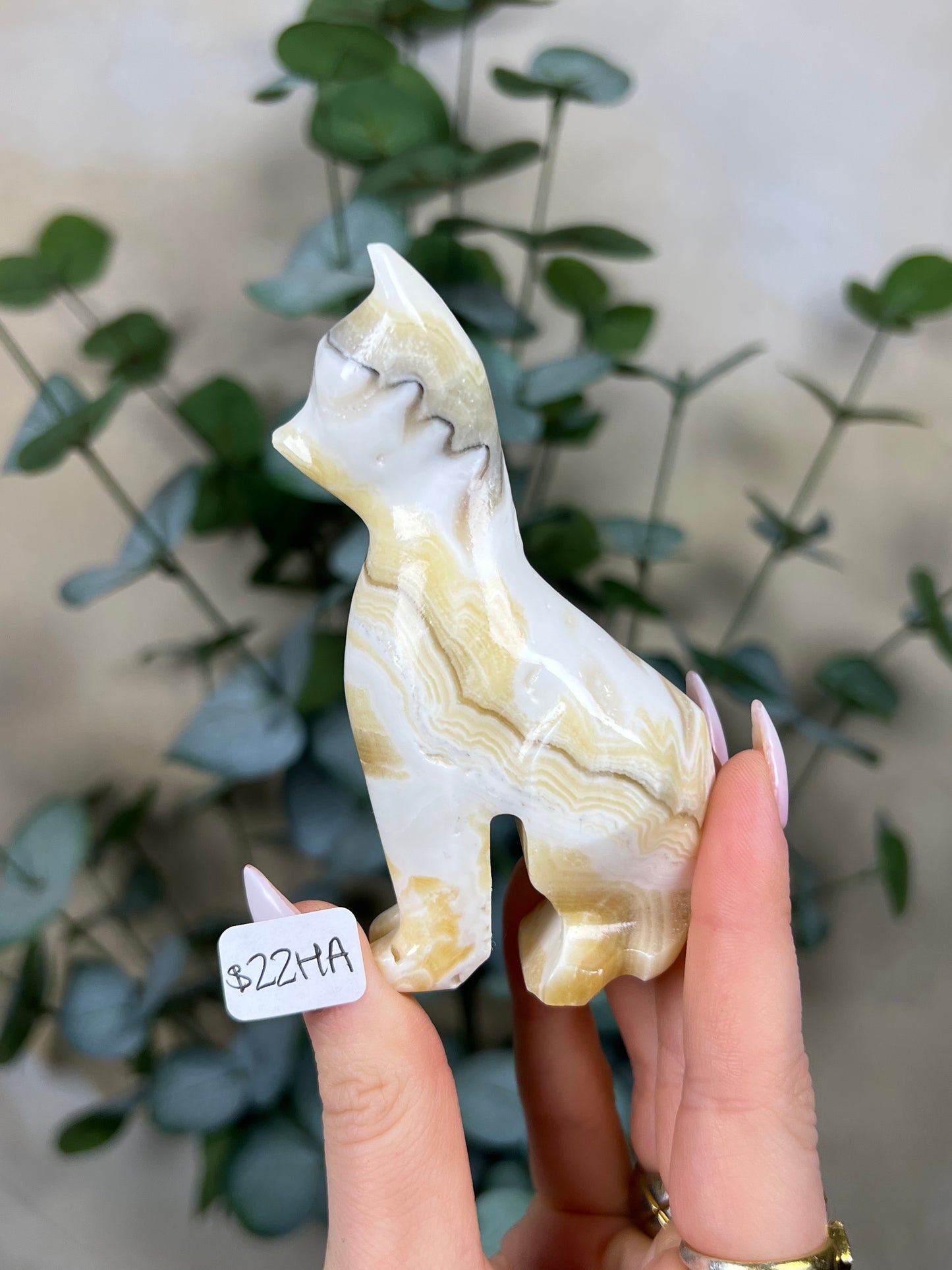 Calcite Cats (22GX-22HA)