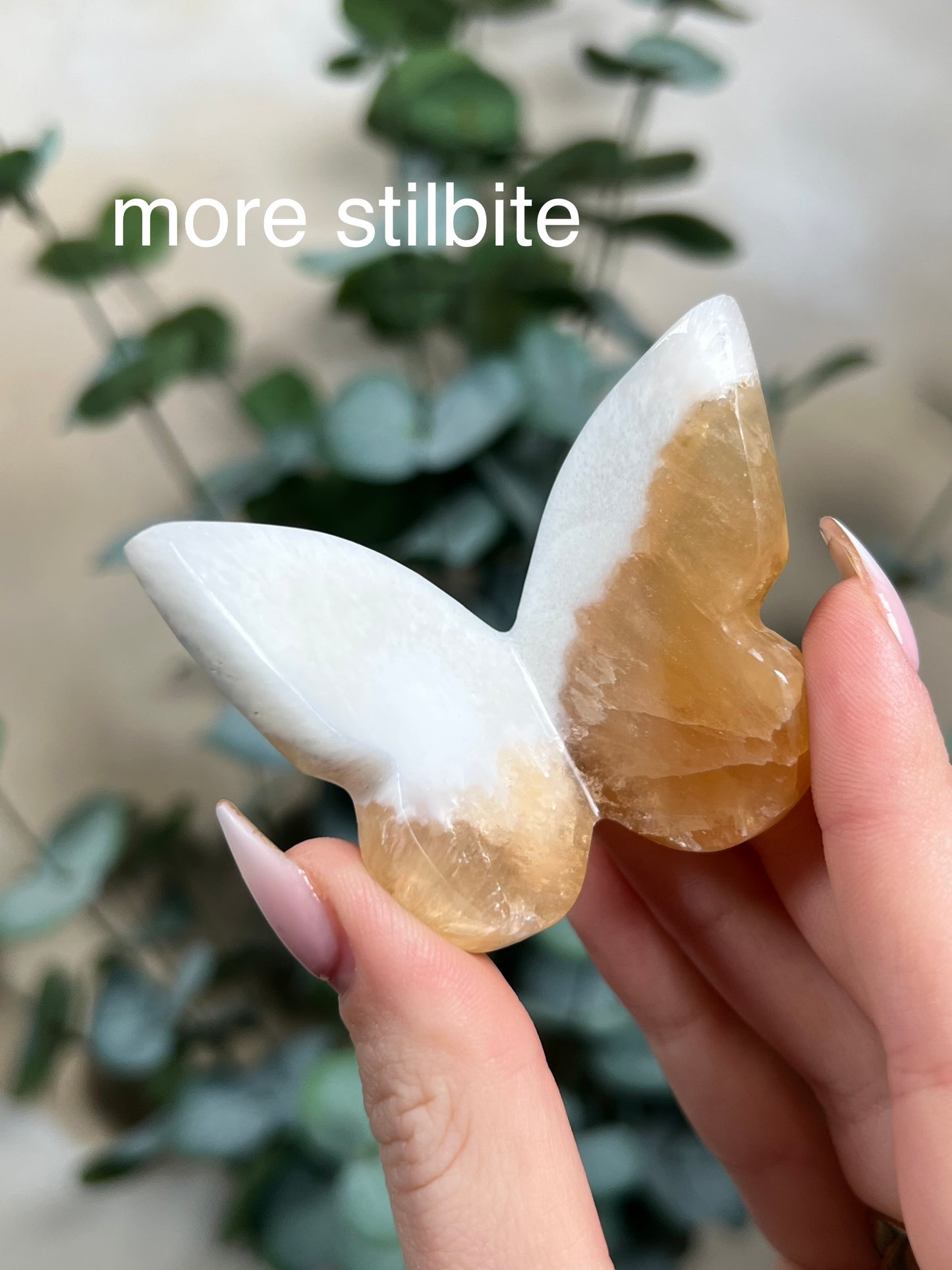 Stilbite in Scolecite Butterflies