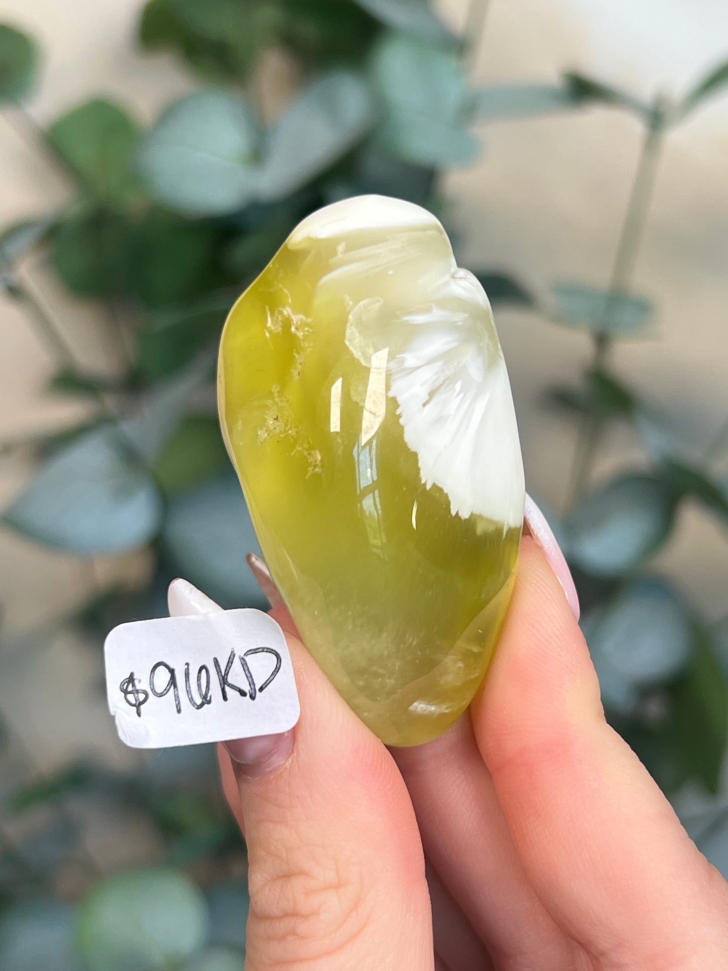 Australian Prehnite Polished (96KD, 195KA)