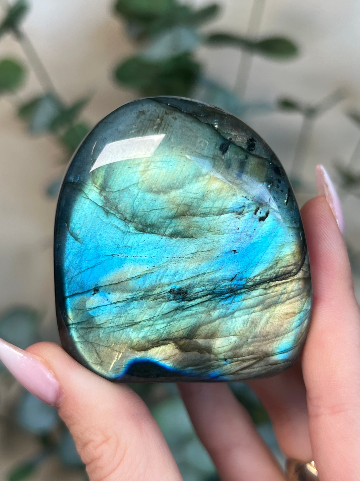 Labradorite Freeform HQ (54KK*)