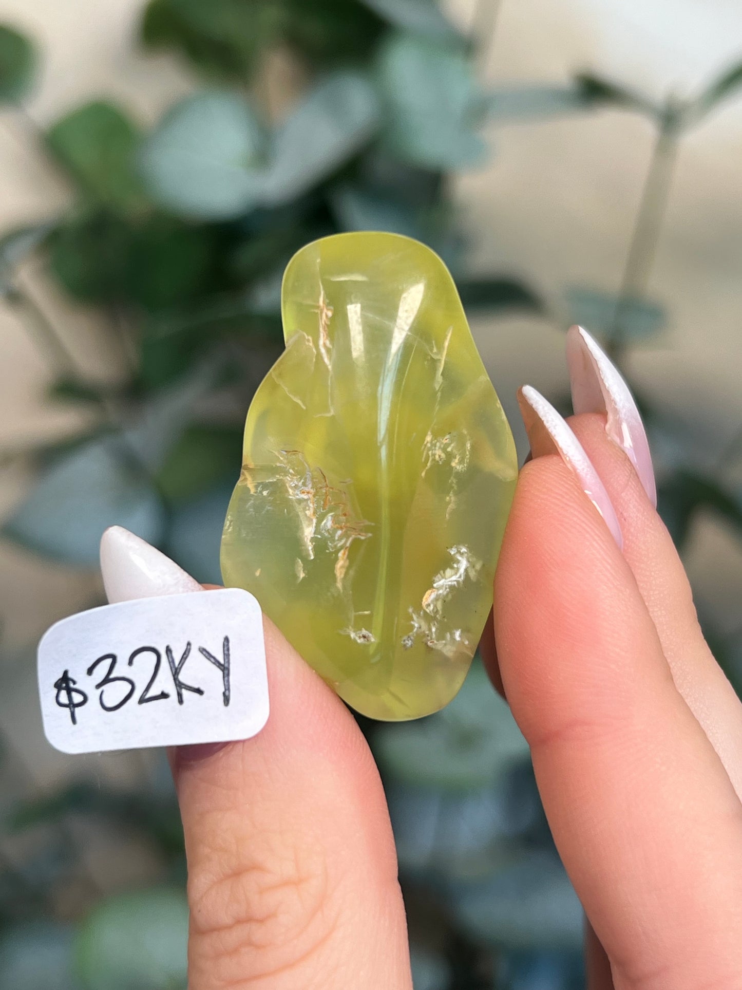 Australian Prehnite Polished (32-34, 4 options)