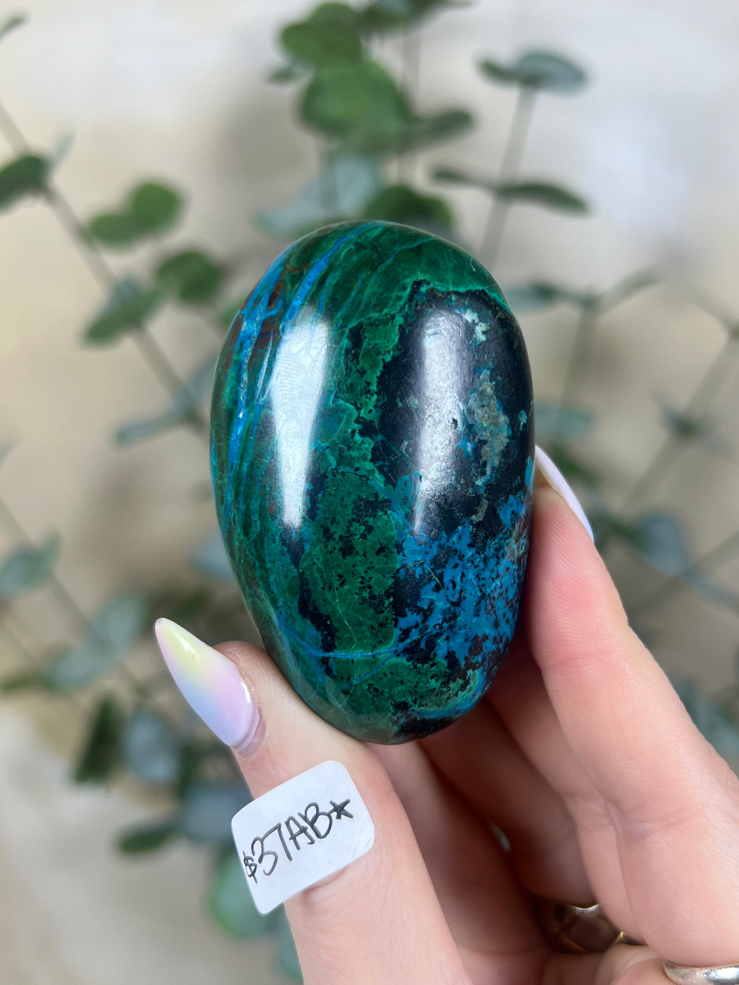 Malachite Chrysocolla Freeforms (37AB-61AA)