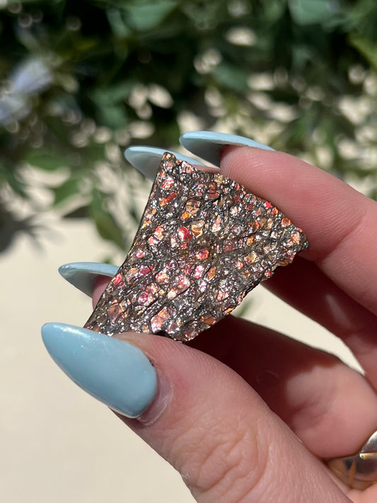 Ammolite (18AG)