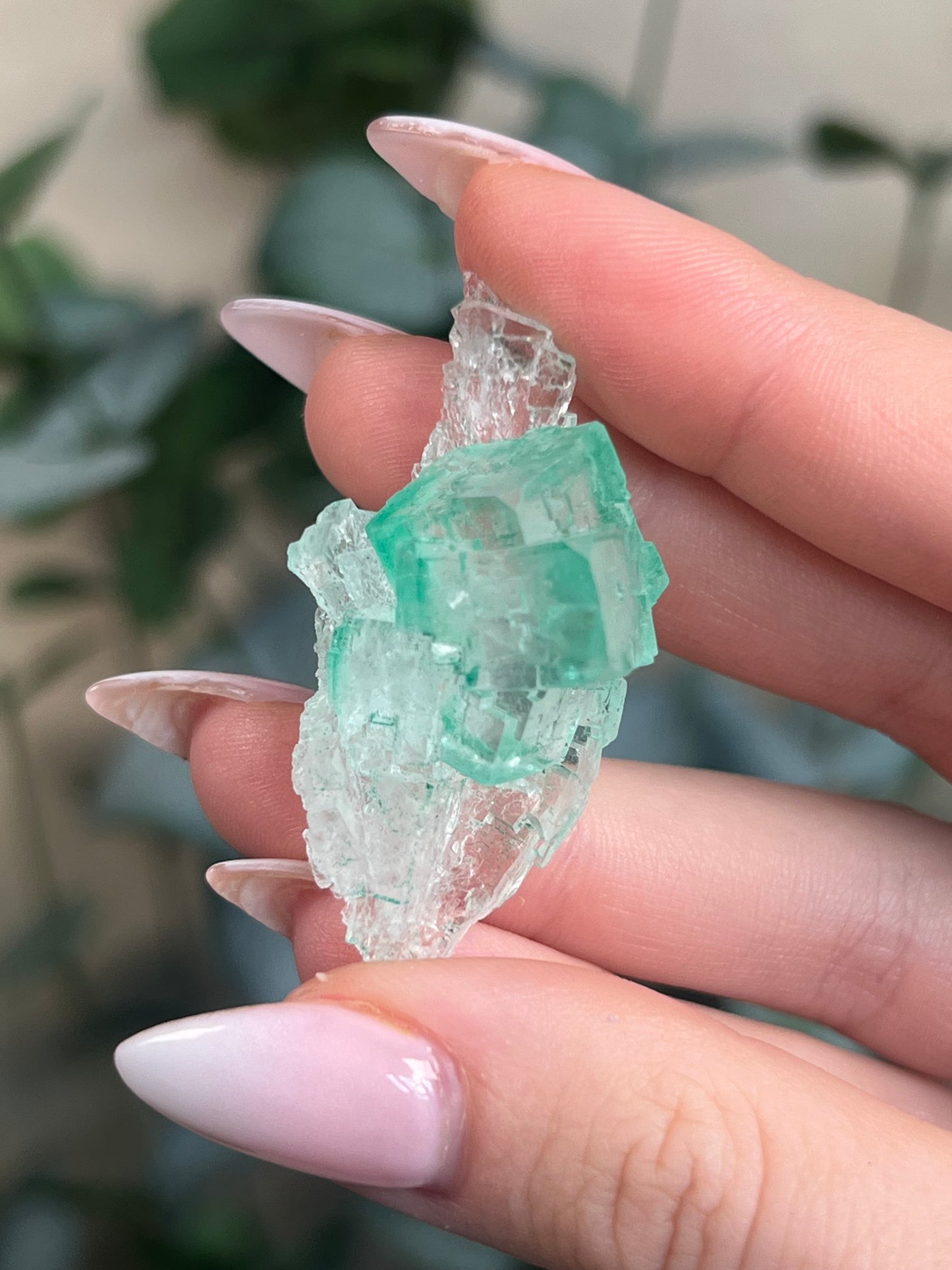 Green Halite with Display Block (70KF)