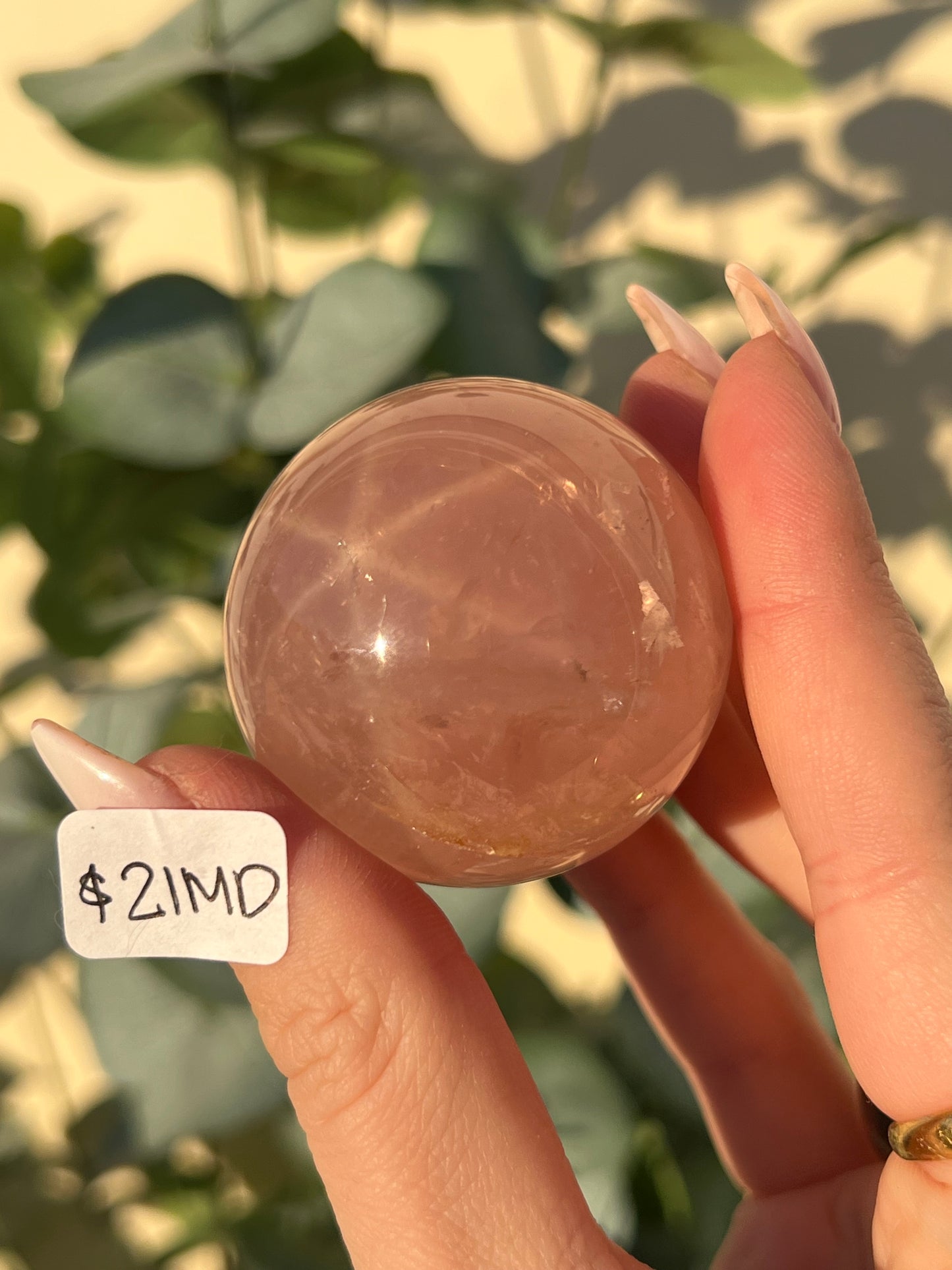 Star Rose Quartz Spheres (18MQ, 18MR, 20PC, 21MD)