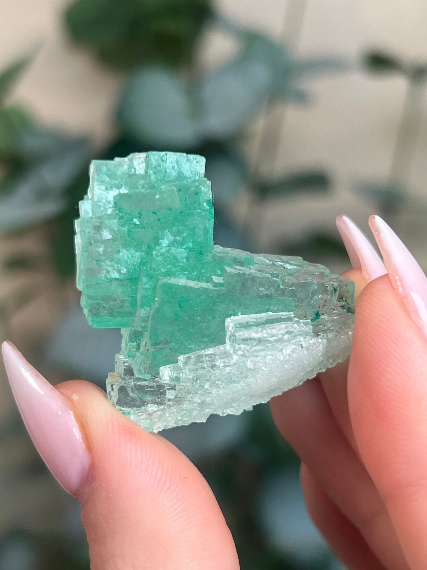 Green Halite with Display Block (85KD)