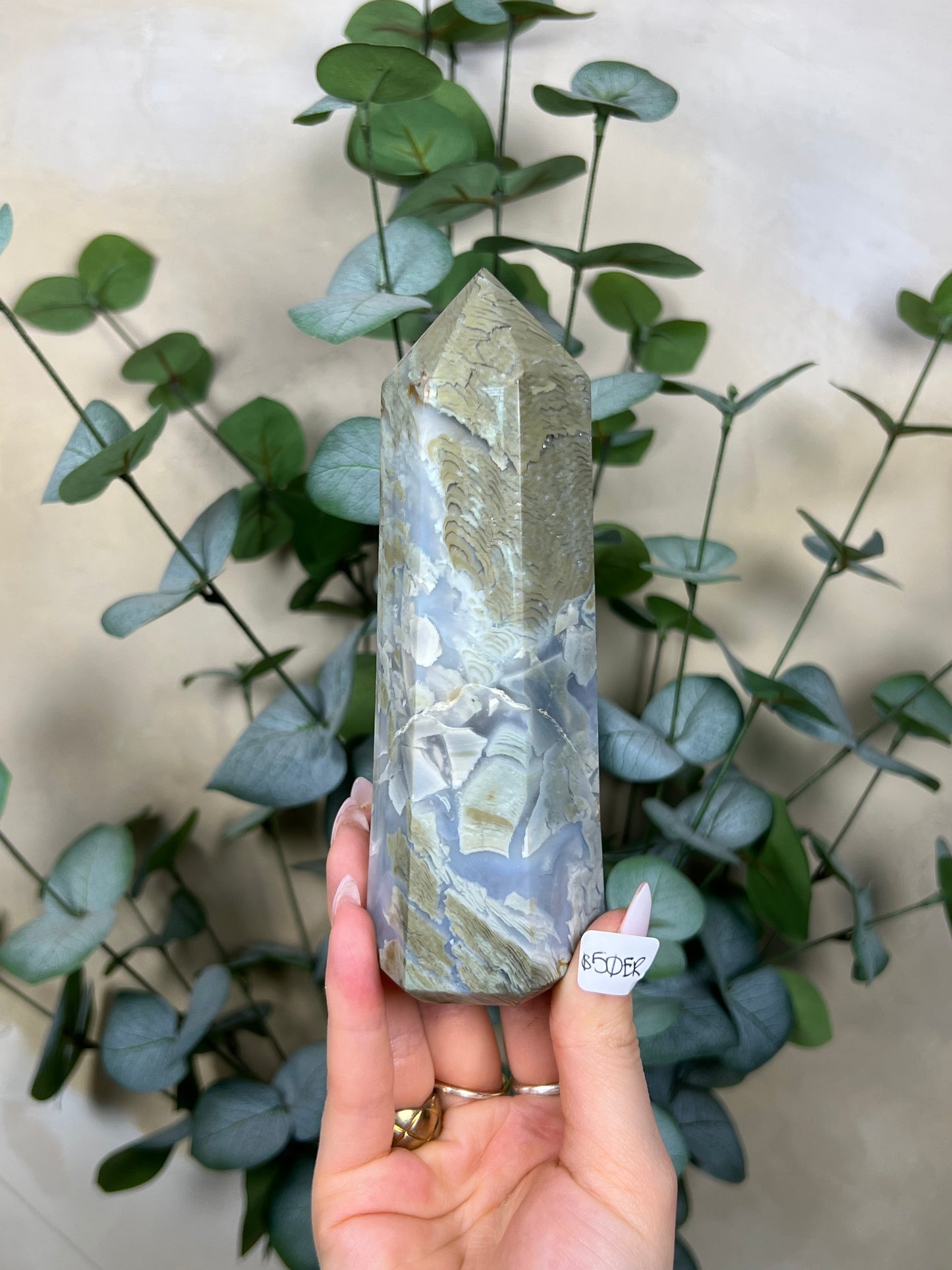 Ibis Jasper Towers (50ER, 51EG)