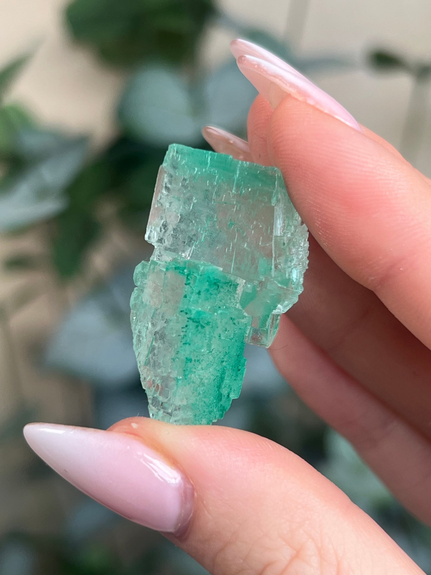 Green Halite with Display Block (55KX)