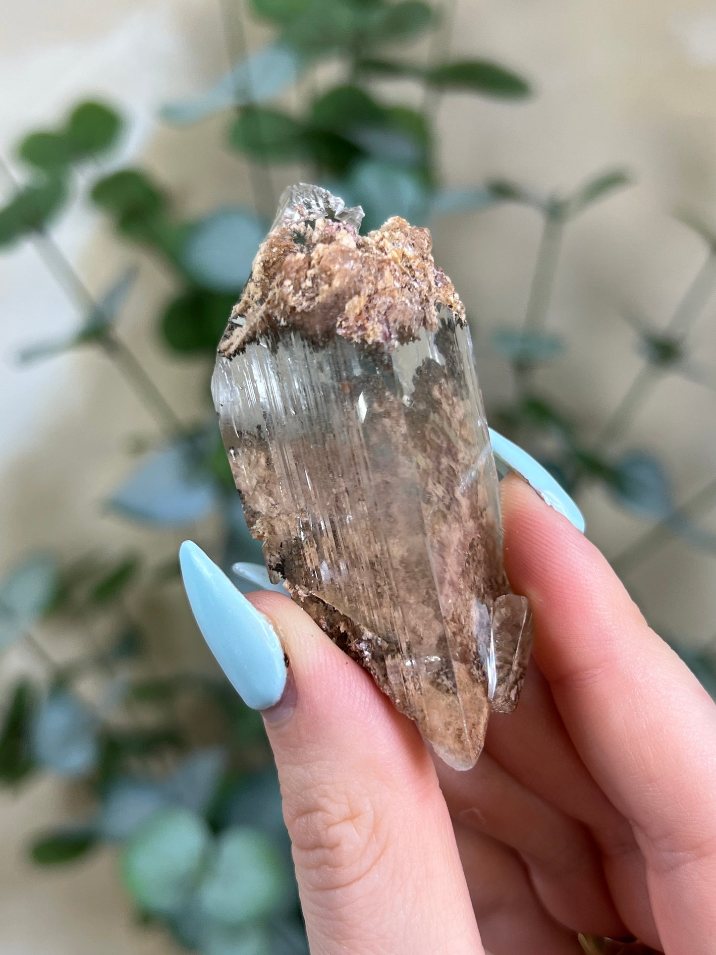Durango Selenite (64ED)