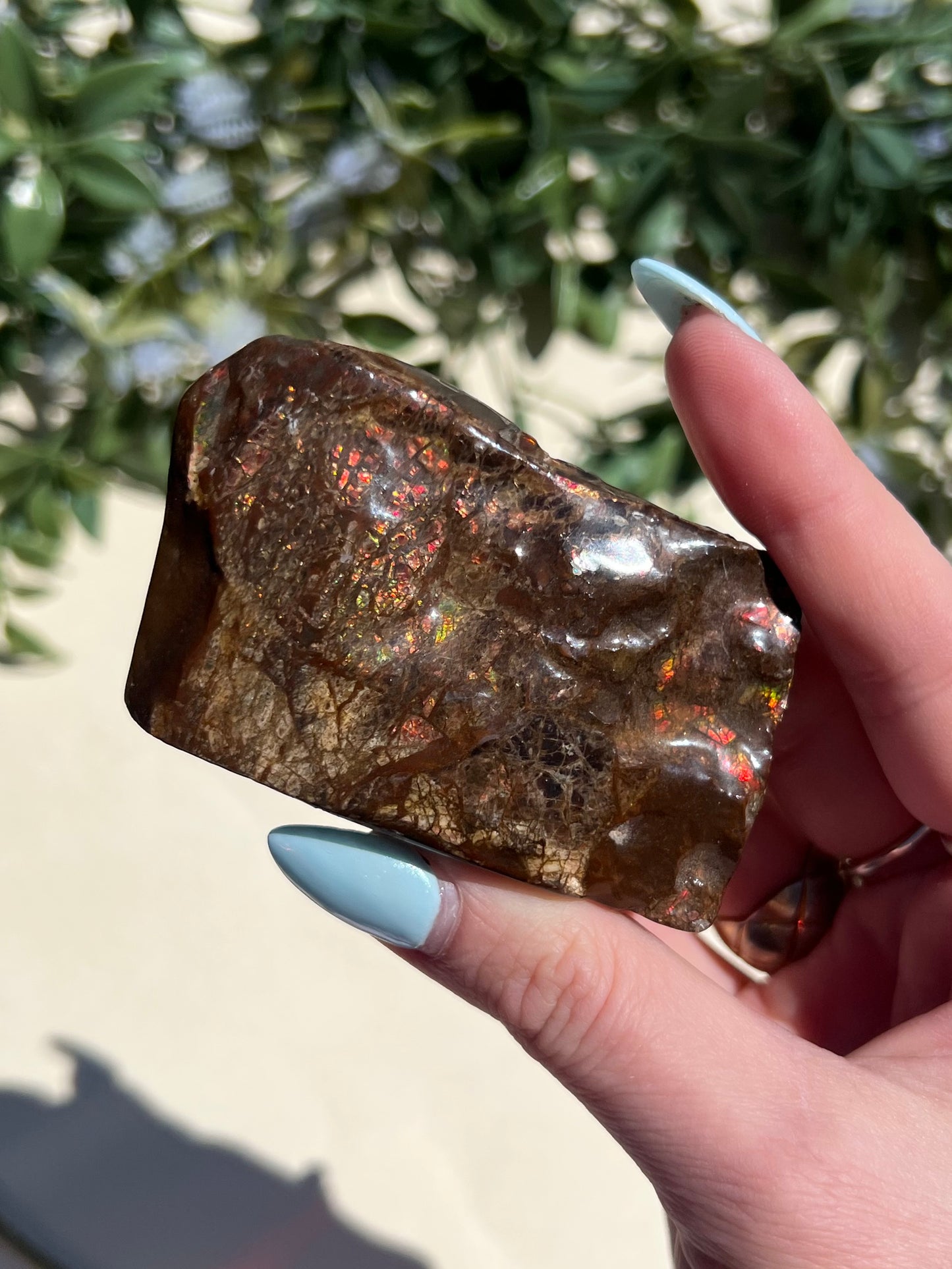 Ammolite (45AE)