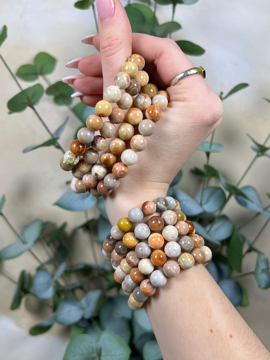 Fossilized Coral Bracelets