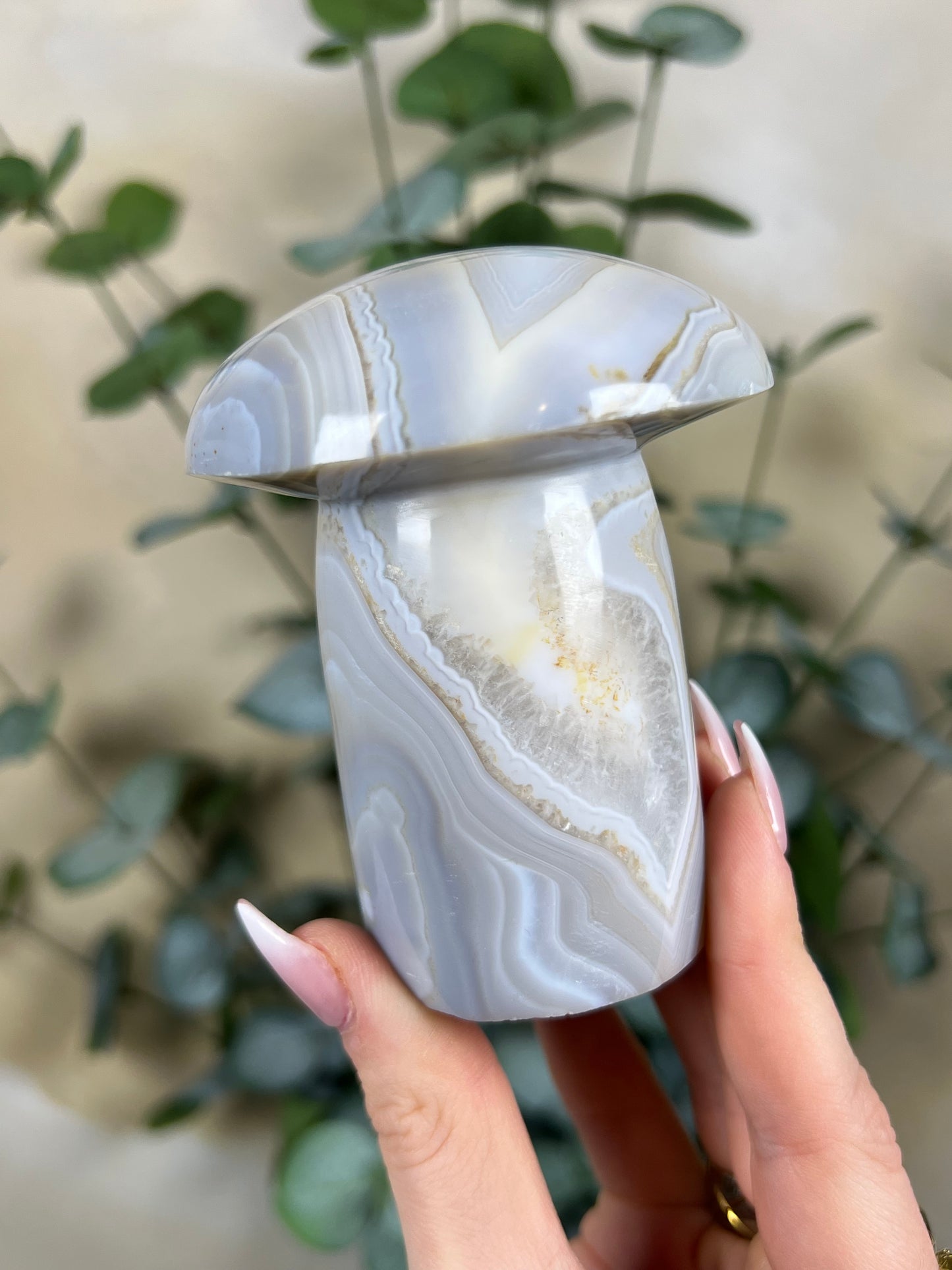 Agate Mushroom (39EX)