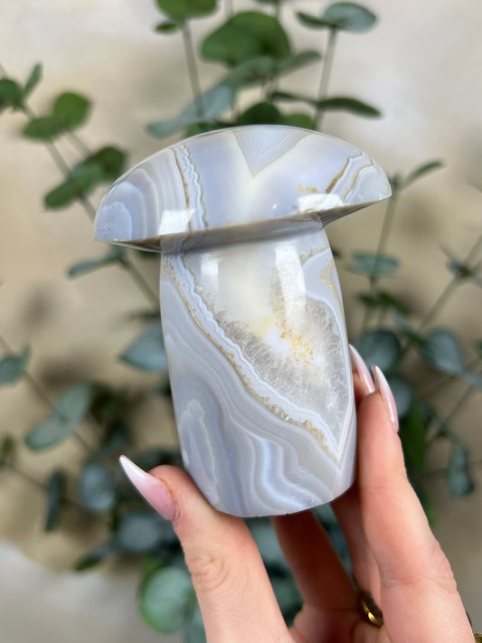 Agate Mushroom (39EX)