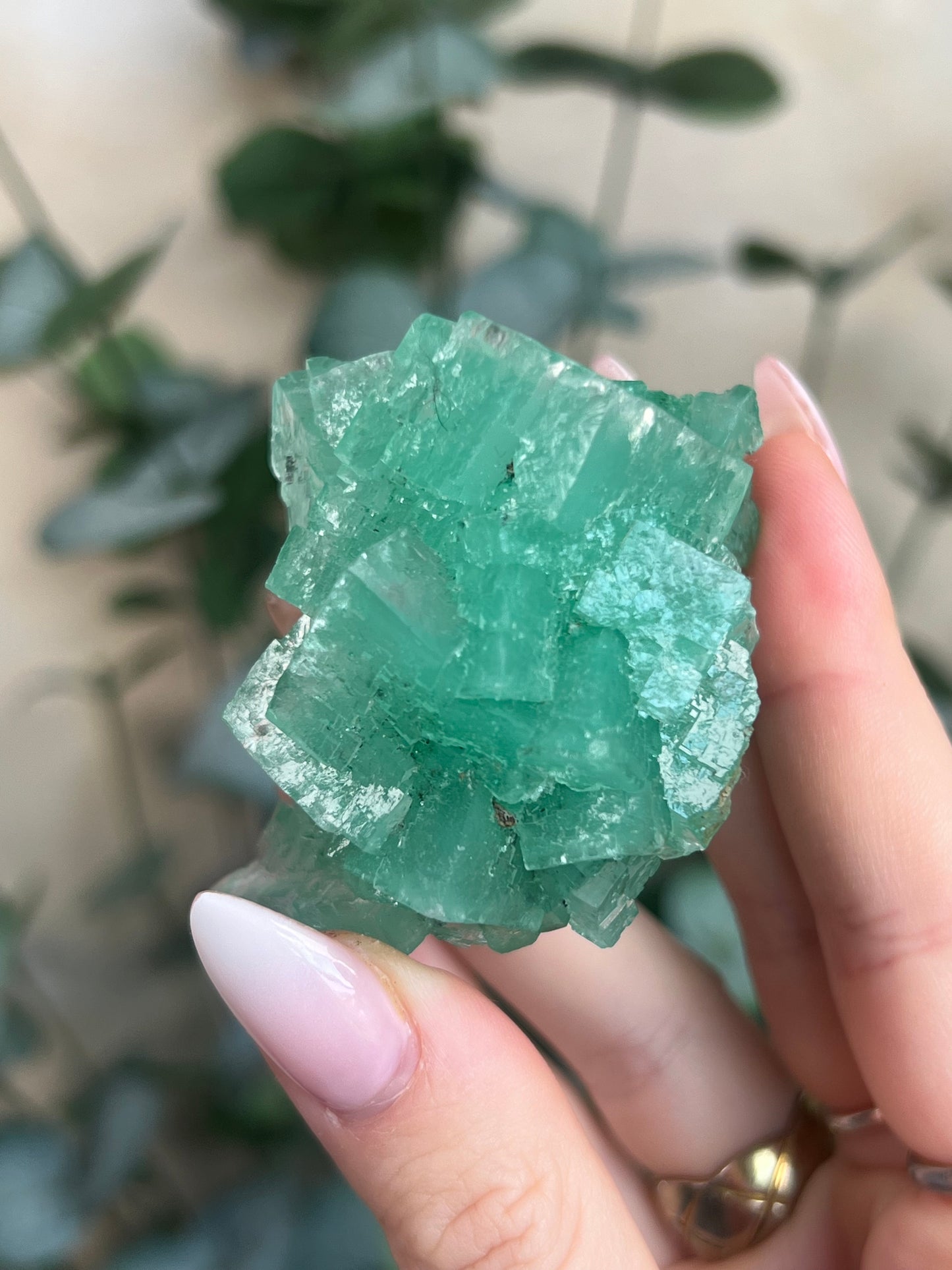 Green Halite with Display Stand (121KB)