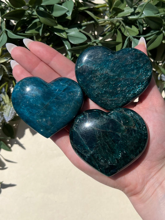Blue Apatite Hearts (10AA, 12AA, 16AA)