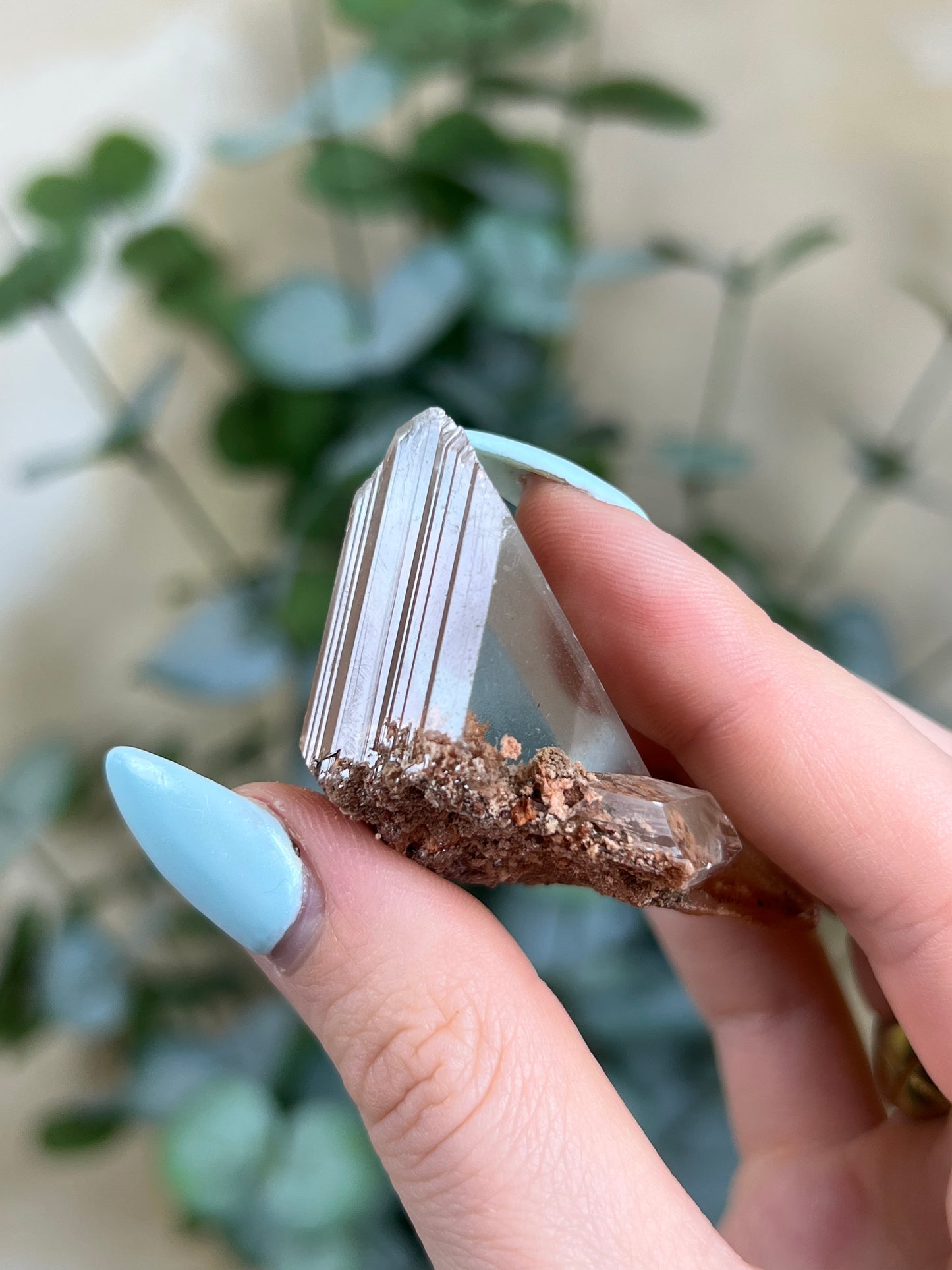 Durango Selenite (111EA)