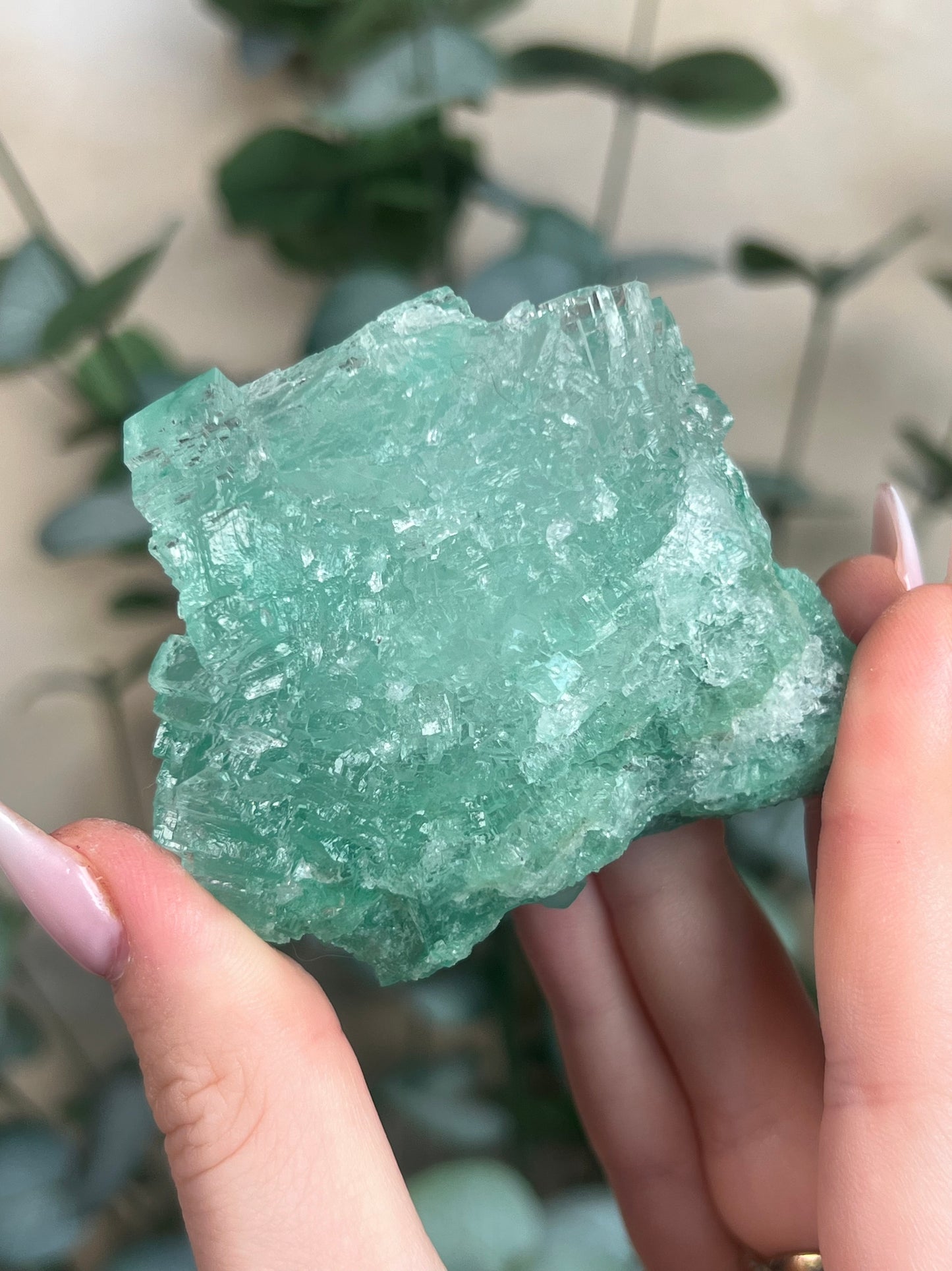 Green Halite with Display Stand (153KA)