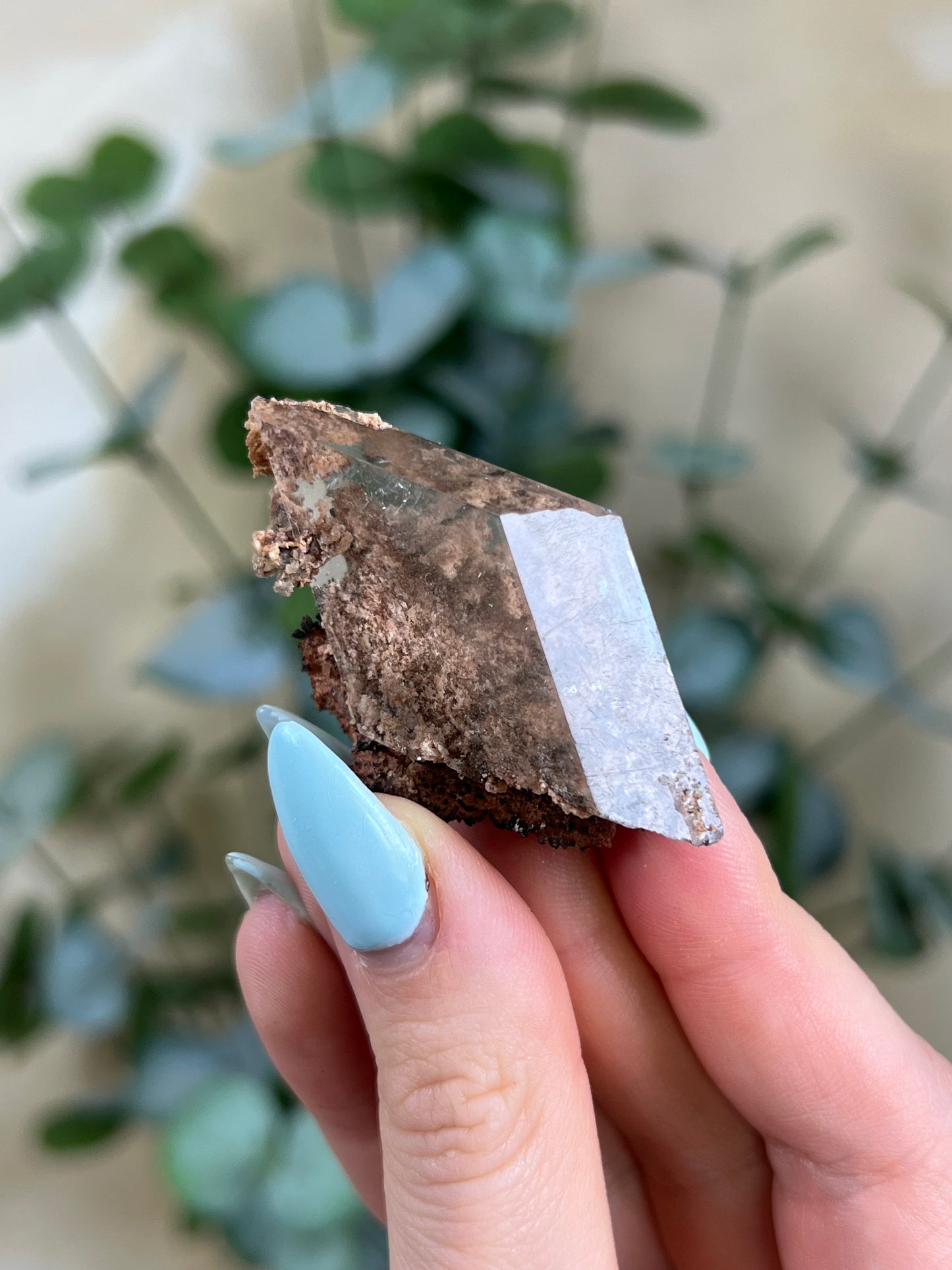 Durango Selenite (98EA)
