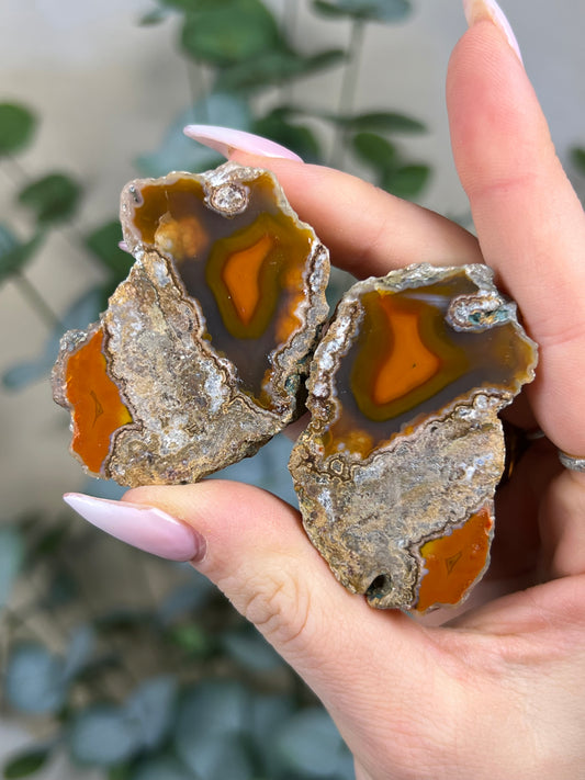 Condor Agate Pair (28FQ)