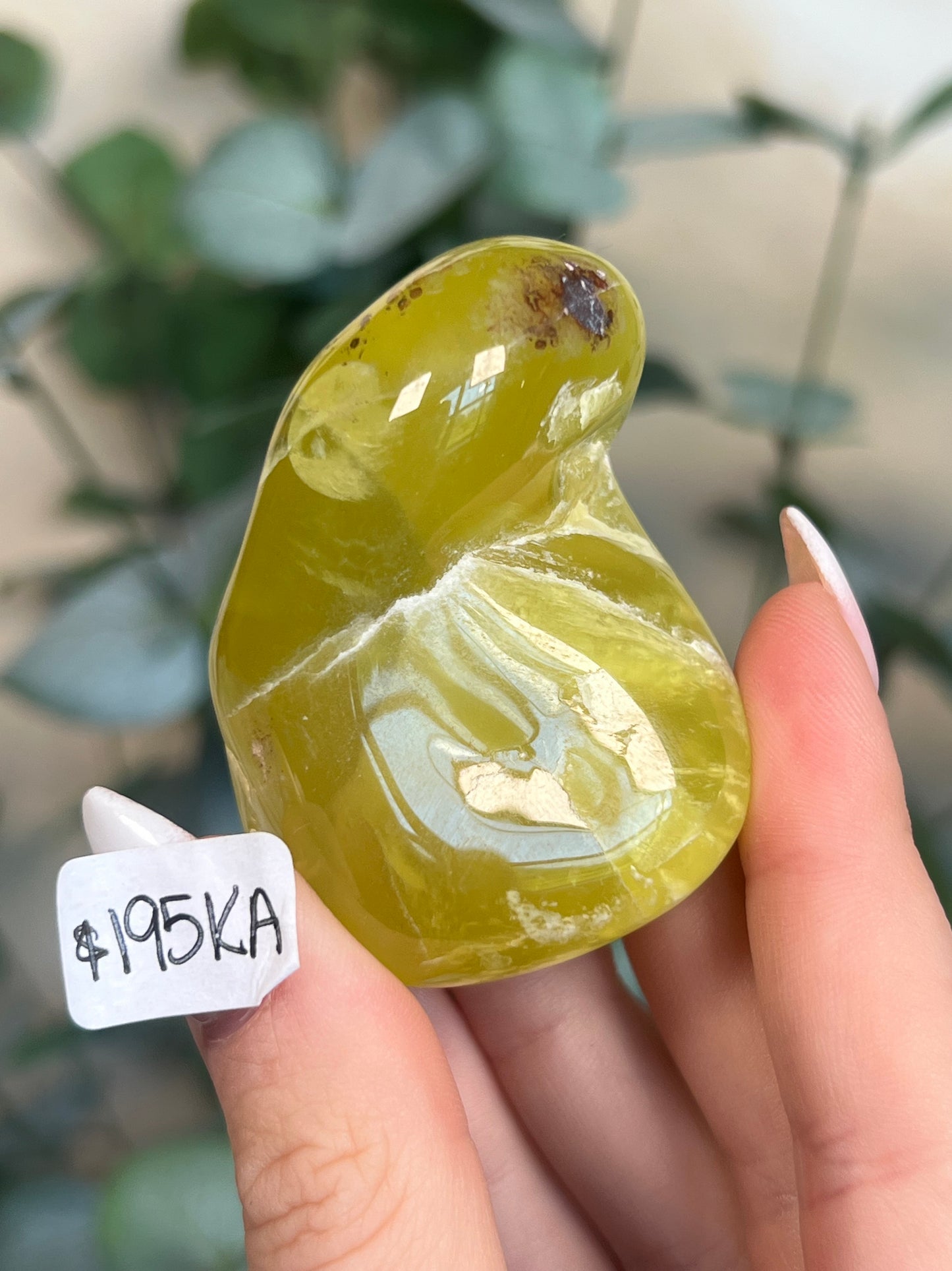 Australian Prehnite Polished (96KD, 195KA)