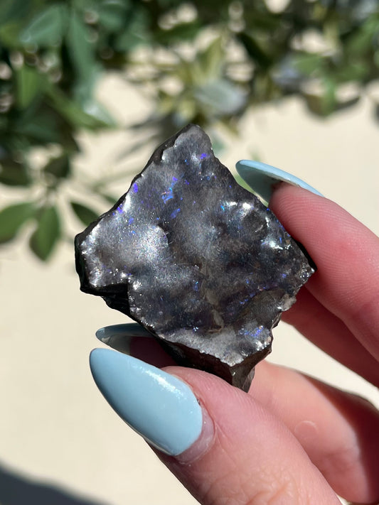 Ammolite (10AI)