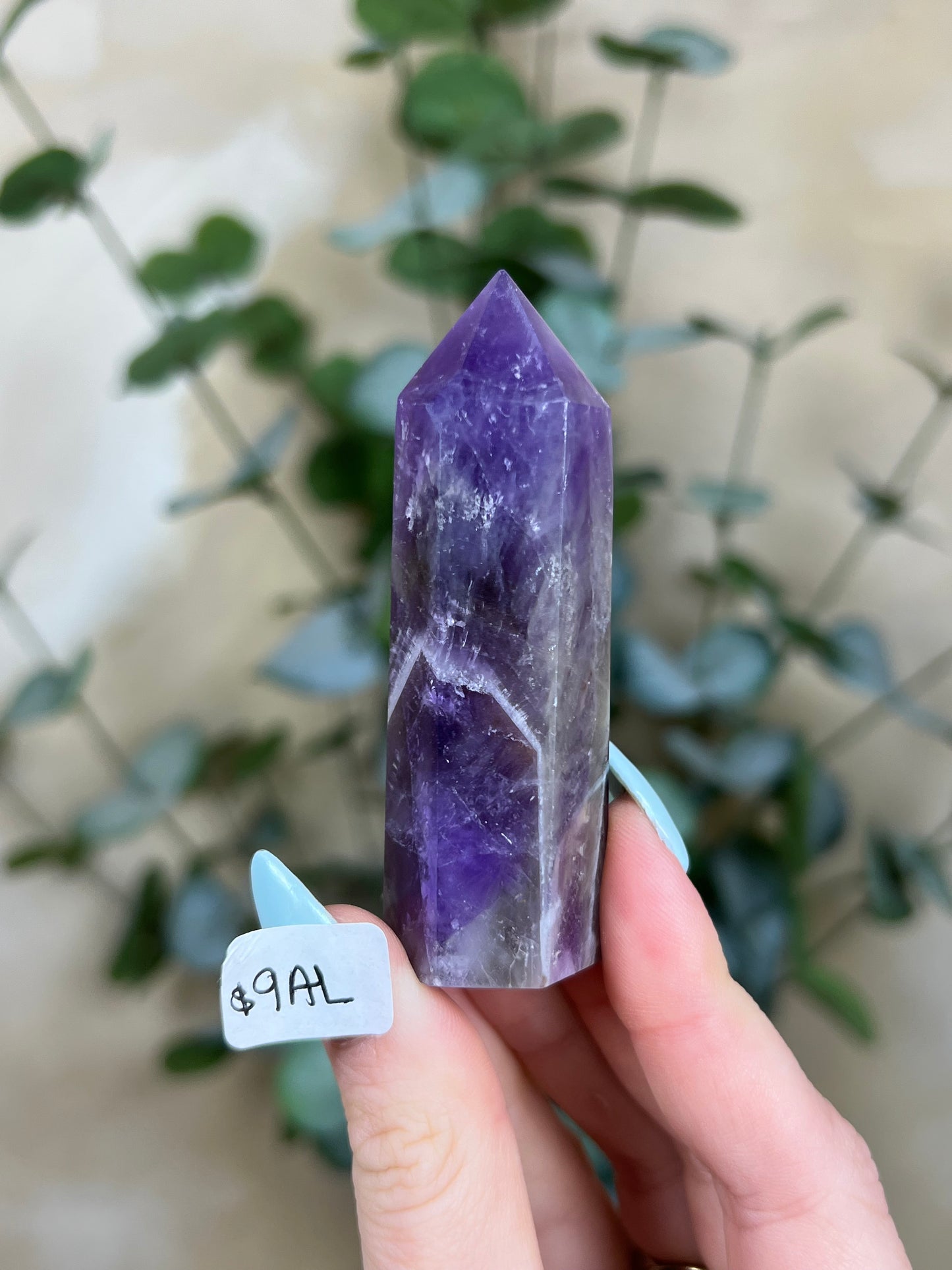 Amethyst Towers (8AG-9AM)