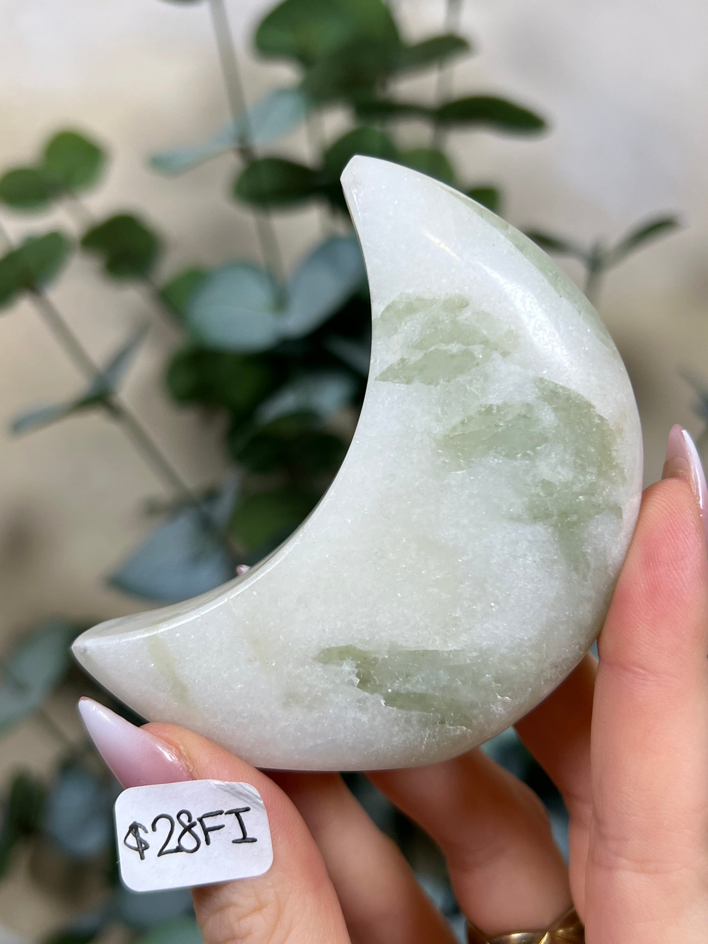 Green Kyanite in Quartz Standing Moons (26FT, 28FI, 28FJ)