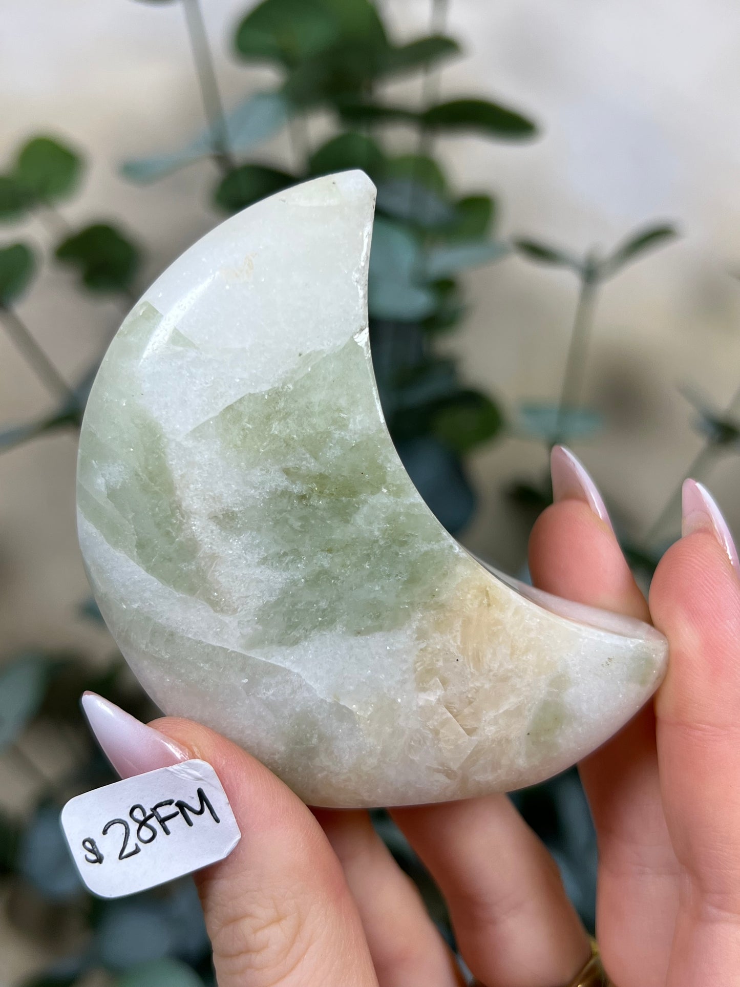 Green Kyanite in Quartz Standing Moons (28FL, 28FM)
