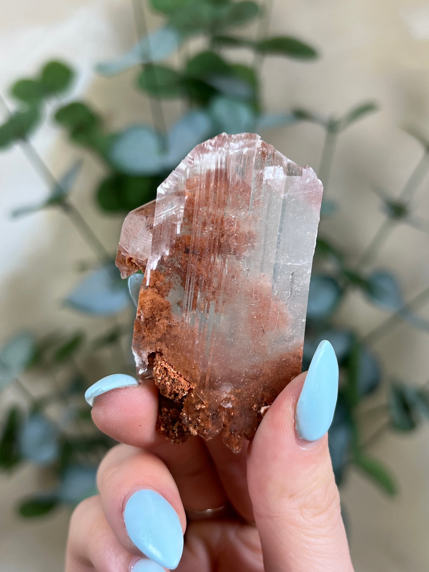 Durango Selenite (62EB)