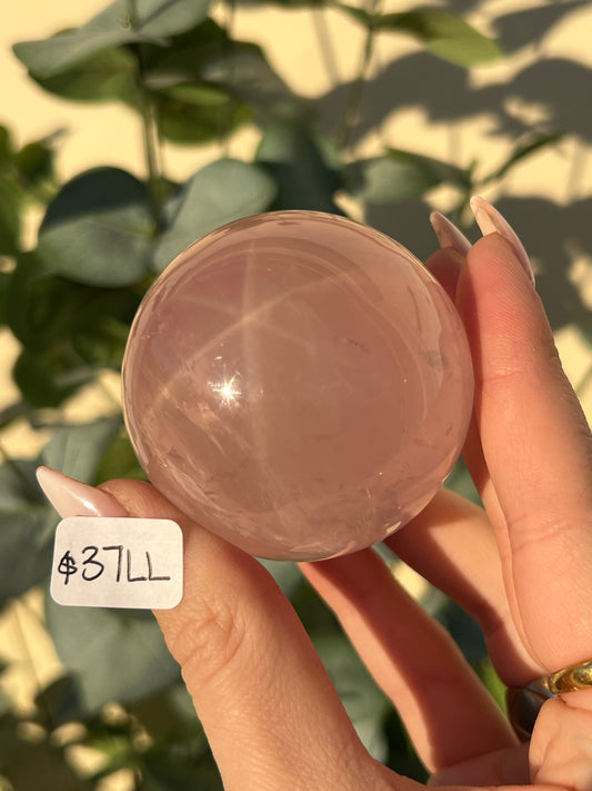 Star Rose Quartz Spheres (28MM, 37LL)