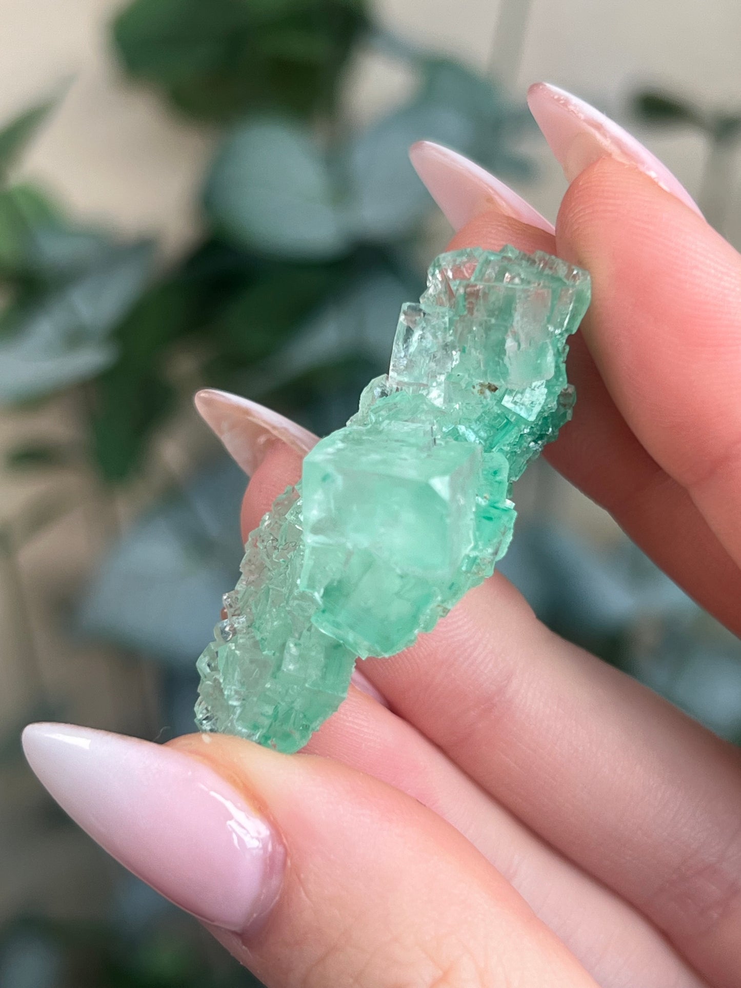 Green Halite with Display Block (54KS)