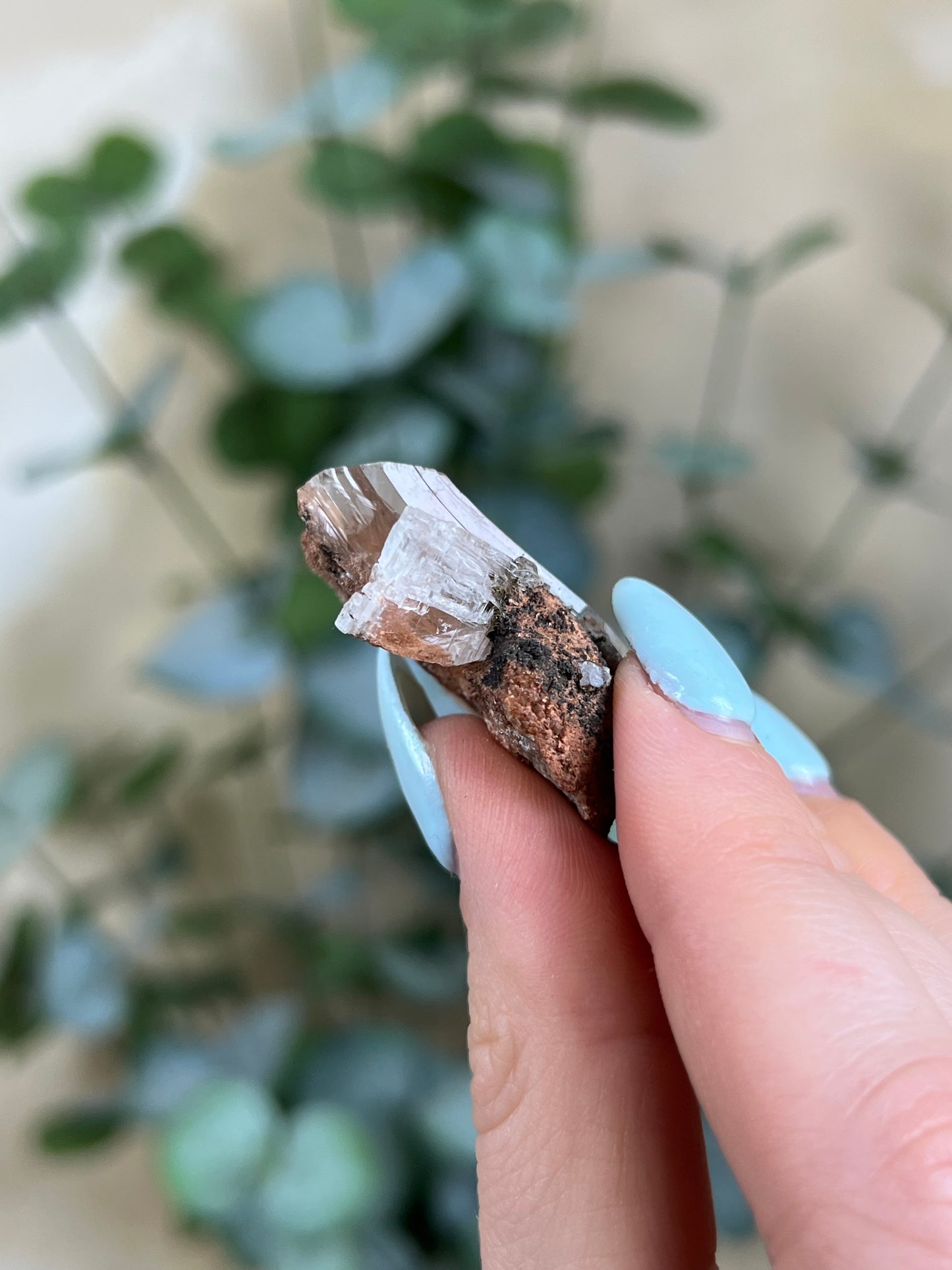 Durango Selenite (121EA)