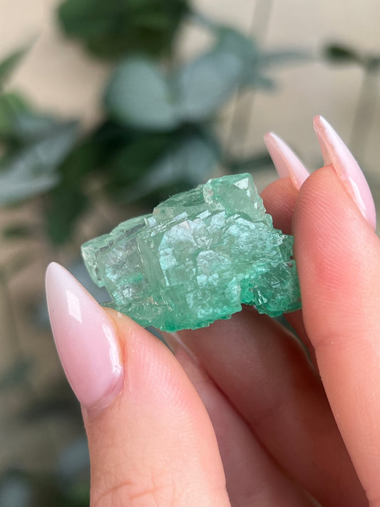 Green Halite with Display Block (70KH)