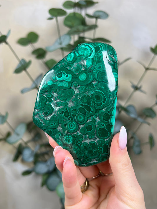 Malachite Polished (43EU)