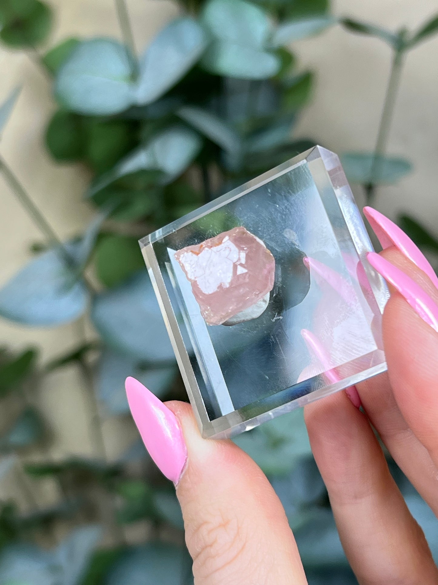 Pink Apatite (19AK)