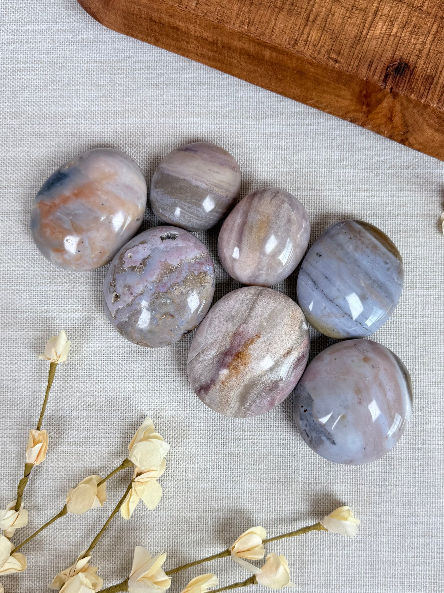 Sea Jasper Palms (6AC-13AK)